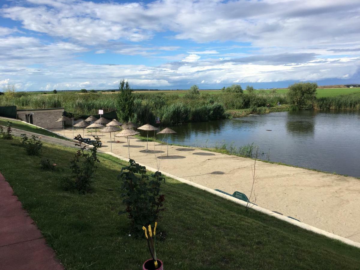 Luxury Apartment With Pool In North Bucharest Cretuleasca Eksteriør billede